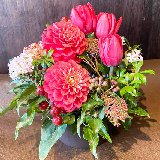 【オンライン限定】エレガントレッド