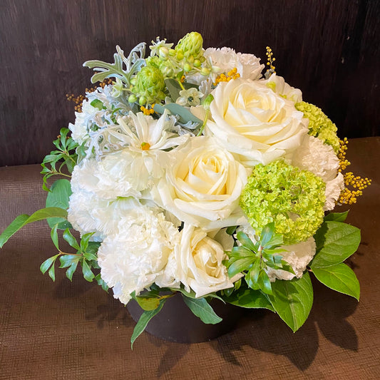 【オンライン限定】スプリングホワイト